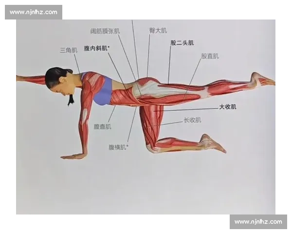 以核心力量训练为基础提升全身运动表现与功能的科学方法 以核心力量训练为基础提升全身运动表现与功能的科学方法
